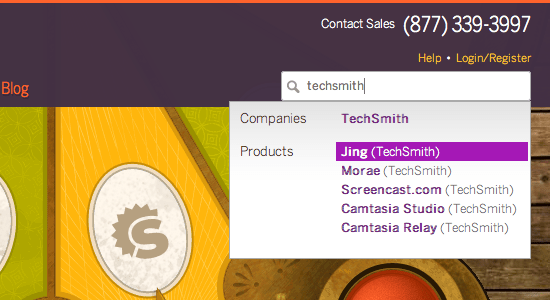 Showcase of Inspiring Search Box Designs