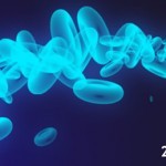cells_brush_preview
