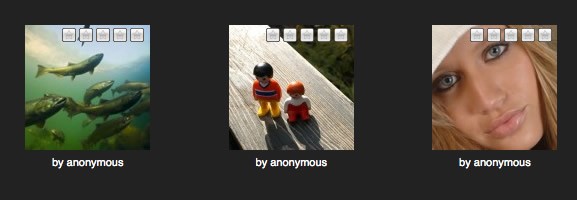 15 wordpress plugins for galleries and slideshows