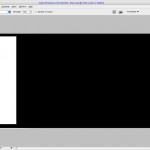 pseudo_vector_flyer_02