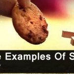 Creative Examples Of Still life Photography  thumbnail
