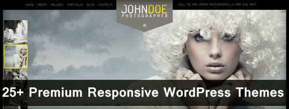 25+ Premium Responsive WordPress Themes