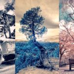 Infrared Photography