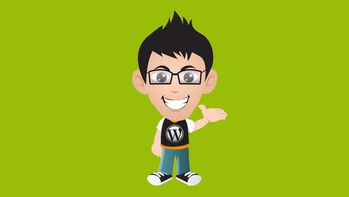 Top 5+ Paid Plugins for WordPress