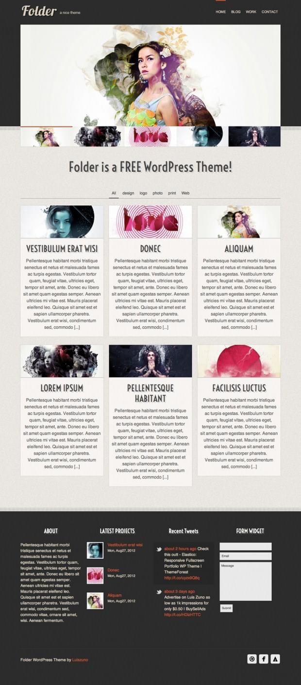 Wordpress Themes