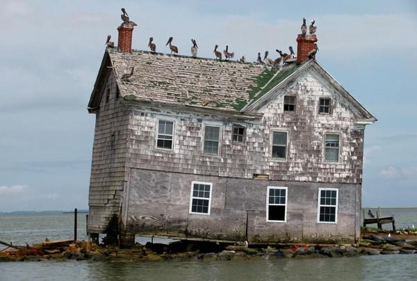 The Last House on Holland Island 