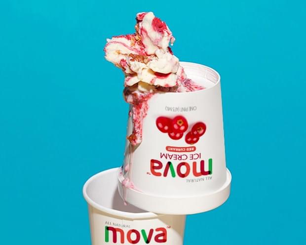 Brand Packaging Design (49)