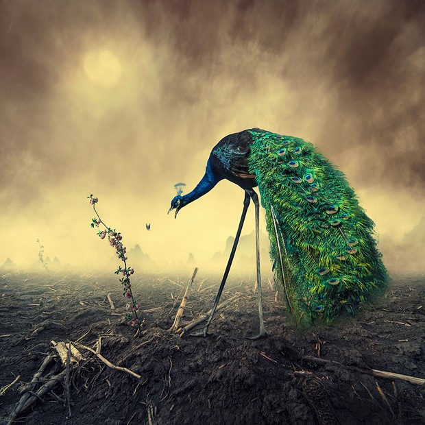 Imaginary-Surreal-Photo-Manipulation-by-Caras-Ionut