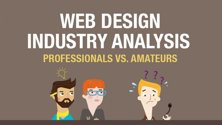 Web Design Industry Analysis Professionals vs Amateurs Infographics