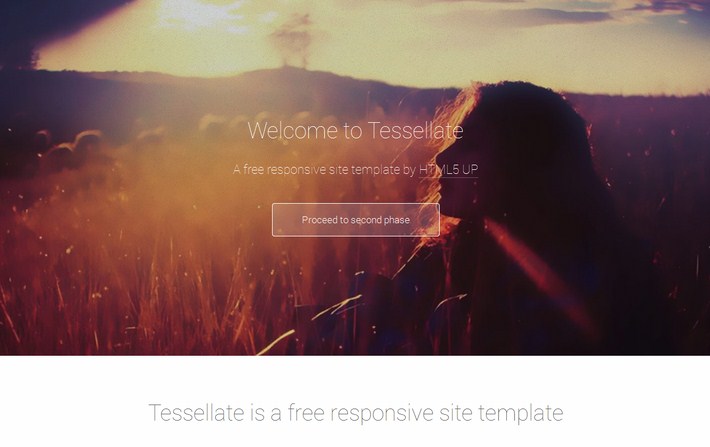 Tessellate Free Responsive Web Template