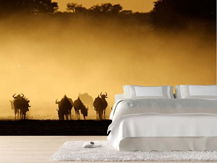 45 Ideal Wall Murals Ideas