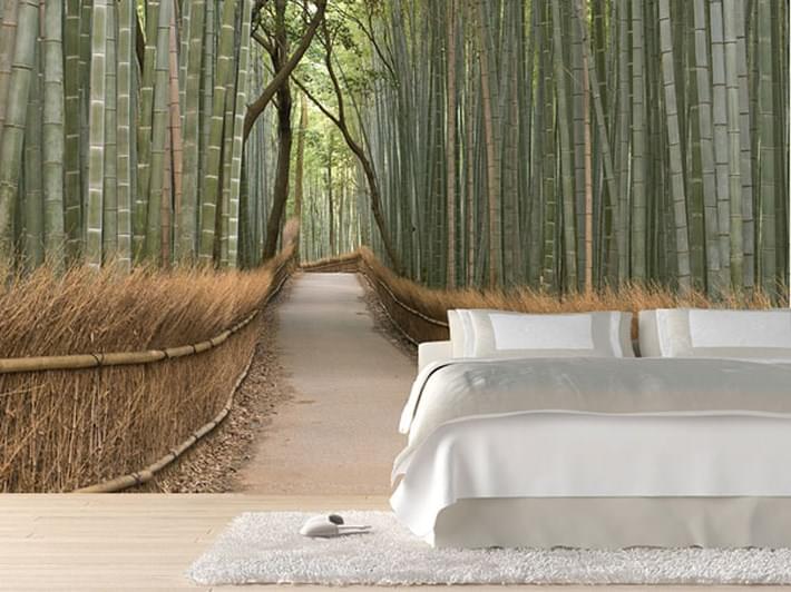 Ideal Wall Murals Ideas
