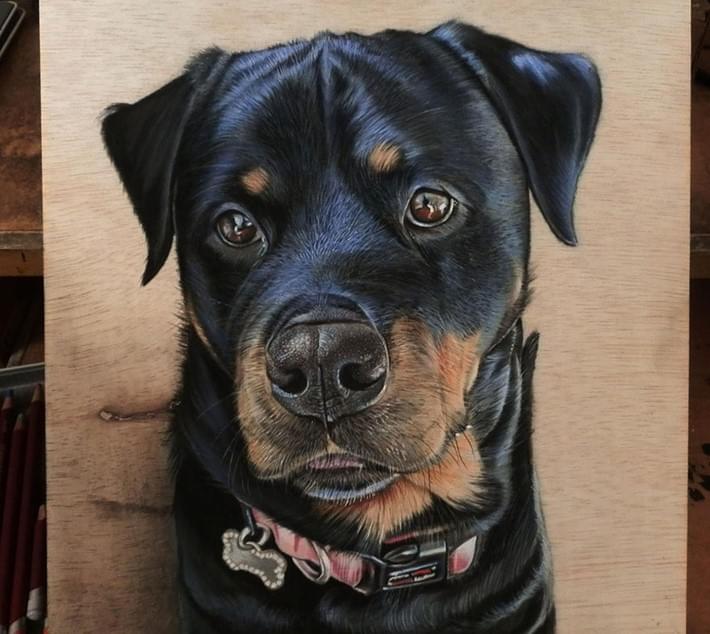 Hyper_Realistic_Drawings_on_Wooden_Boards_by_Ivan_Hoo