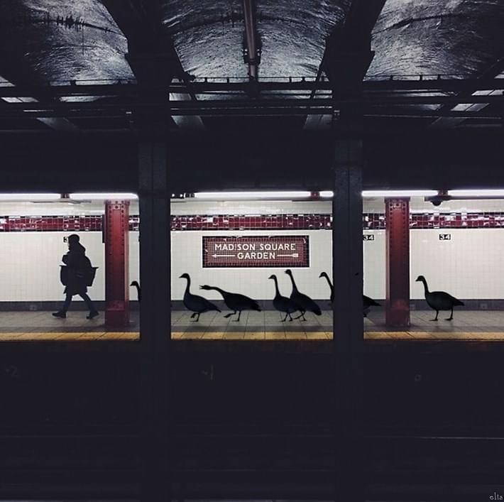 Eliska_Adds_Humorous_Illustrations_to_Photos_of_New_York