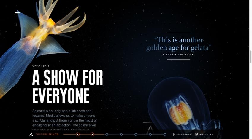 Typography in Web Design