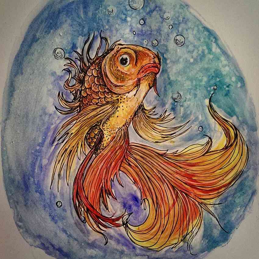 Striking Watercolor Drawings