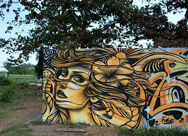 Excellent Street Art by Destroy