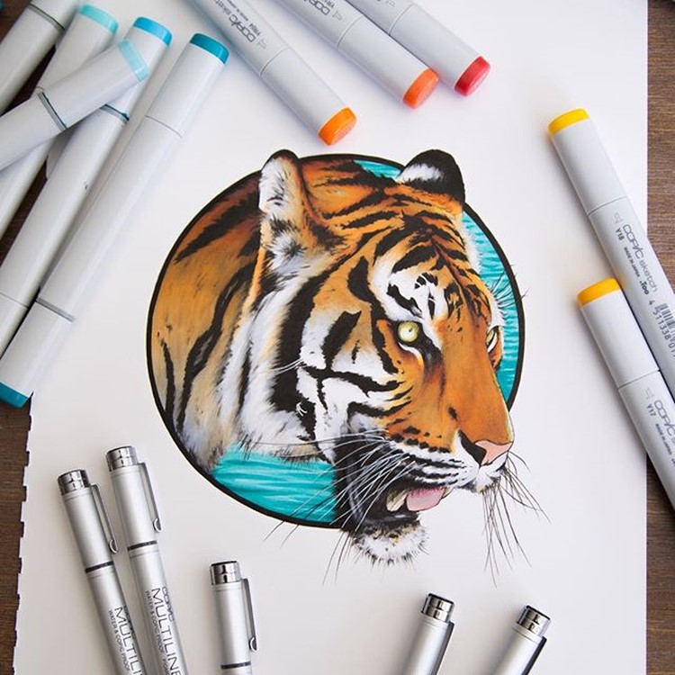 Wonderful-Detailed-Illustrations-of-Stephen-Ward