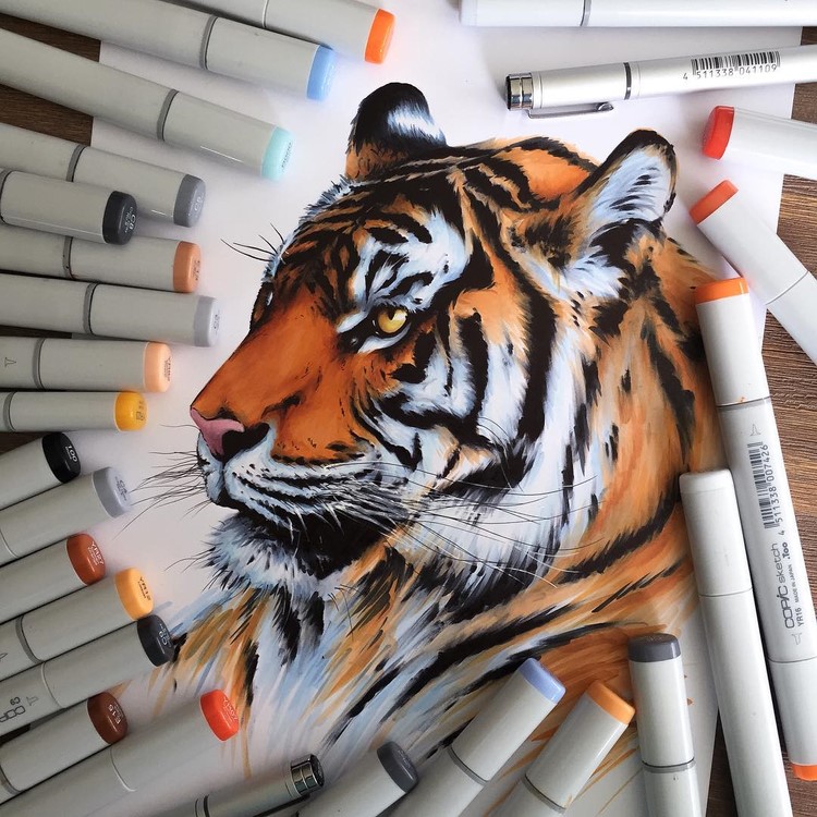 Wonderful Detailed Illustrations