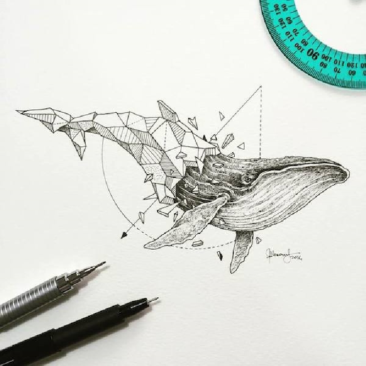 Intricate and Geometrical Drawings of Wild Animals