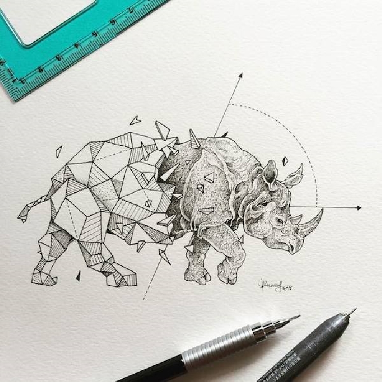 Intricate-and-Geometrical-Drawings-of-Wild-Animals 