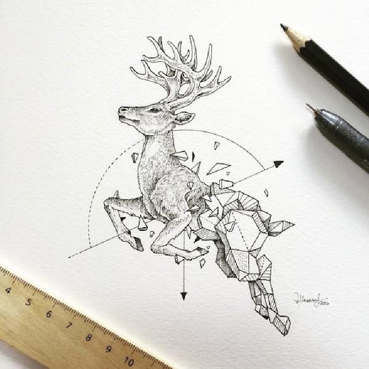 Intricate and Geometrical Drawings of Wild Animals