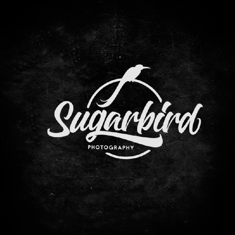 Lettering-and-Calligraphy-Logos-2016