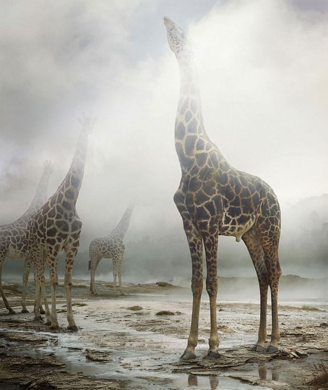 Random-Photos-of-People-Turned-into-Movie-Posters