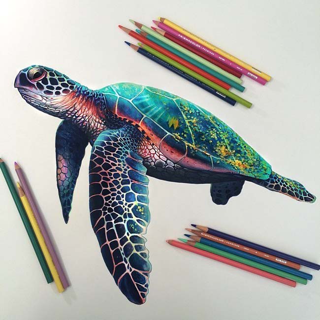 Vibrant Pencil Drawings