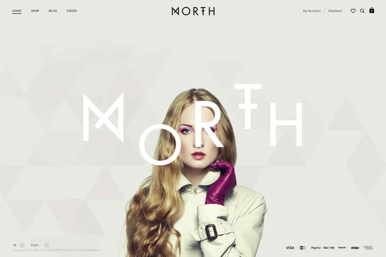 Modern Ecommerce Web Design