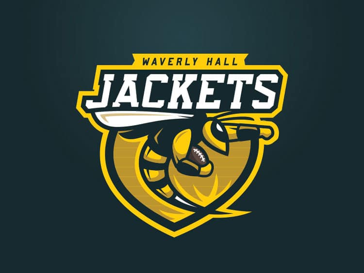 sports logo design examples