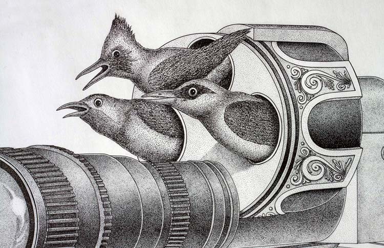 Marvelous-Hand-Drawn-Graphic-Work