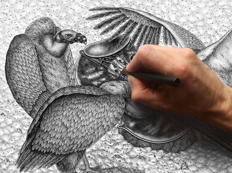 Marvelous-Hand-Drawn-Graphic-Work