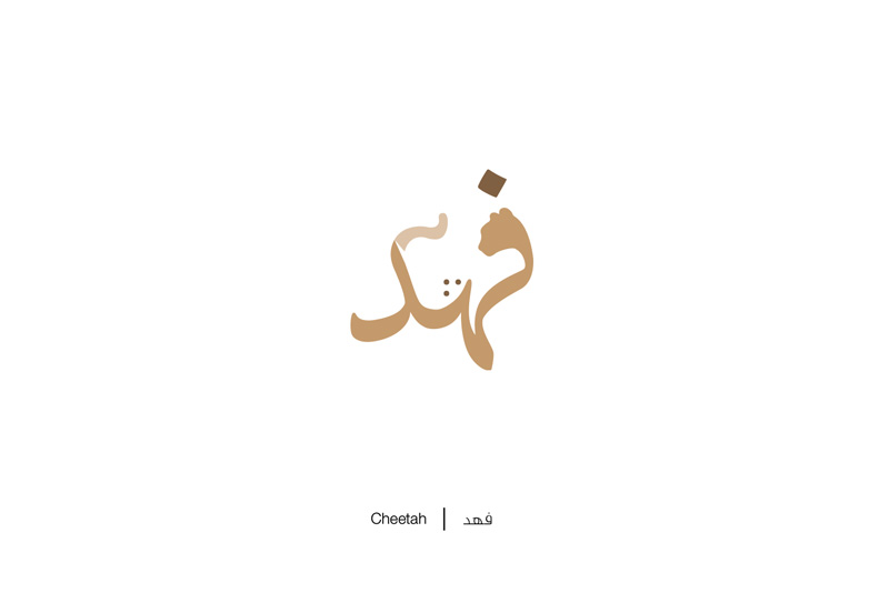 Brilliant-Arabic-Letters-Illustration