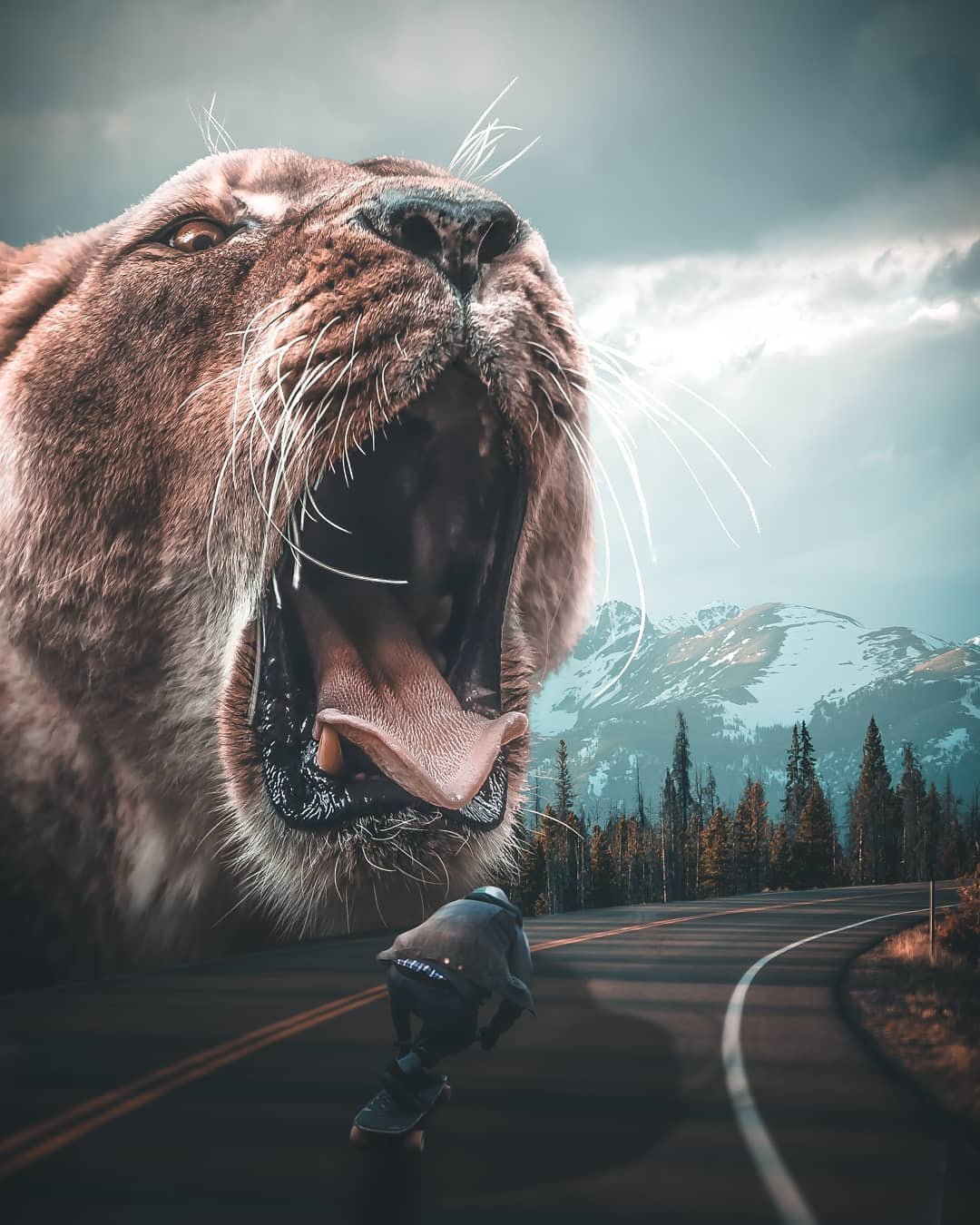 Innovative-Surreal-Photo-Manipulations