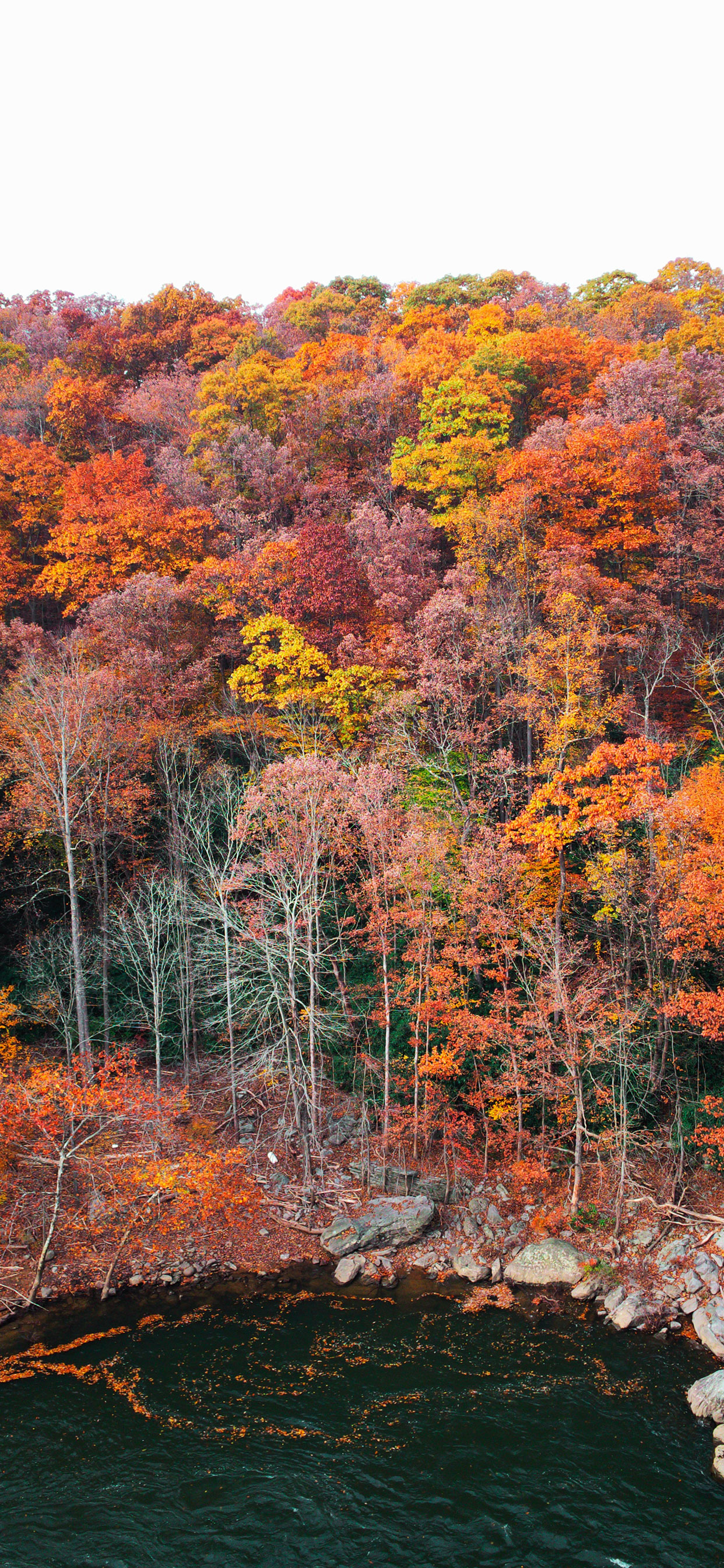 nature wallpaper for iPhone