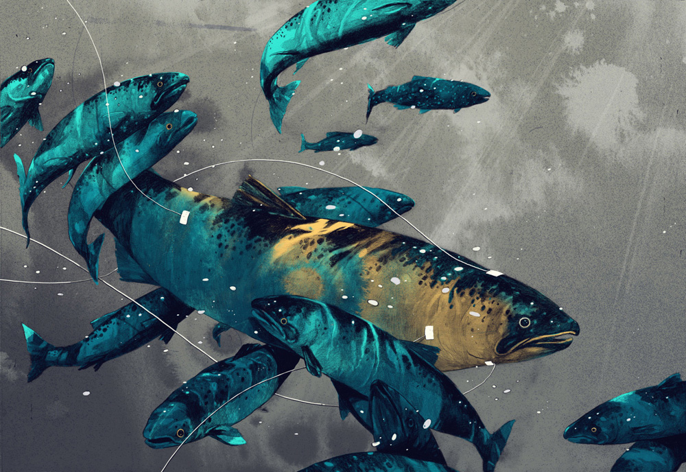 Brilliant-Surreal-Illustrations-Simon