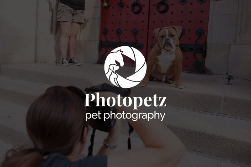 Best-Logos-for-Photography-009