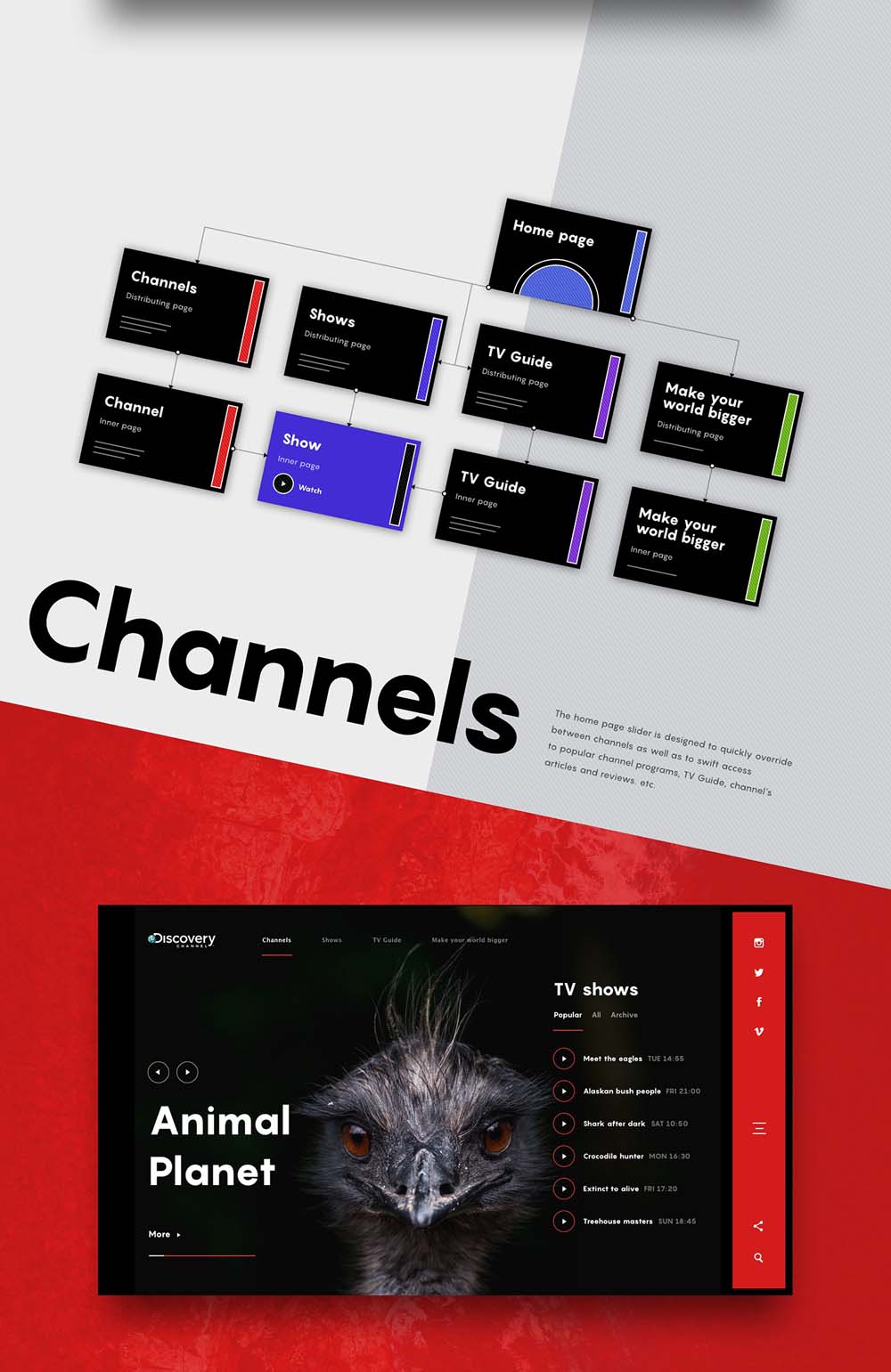 Animated-Web-Design-Concept-of-Discovery-Channel-001