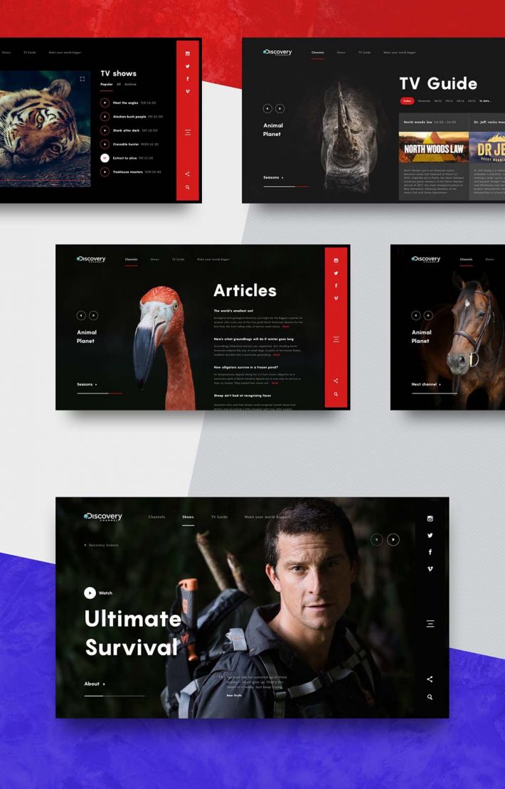 Animated-Web-Design-Concept-of-Discovery-Channel-002