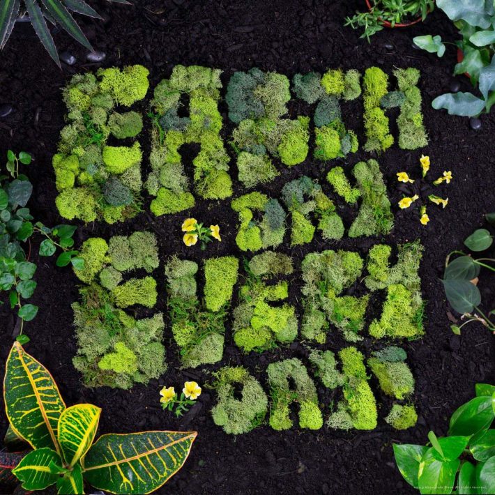 brilliant-food-typography-by-danielle-even-014