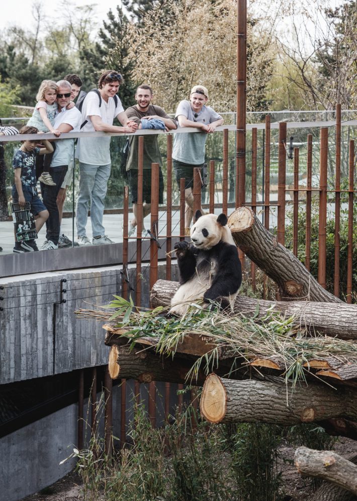 Panda House