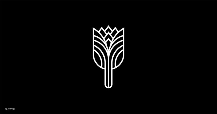 Creative-Logofolio-Designs