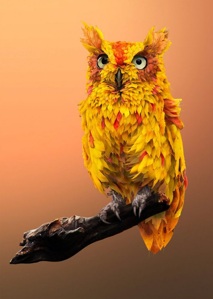 Amazing Photographic Illustrations