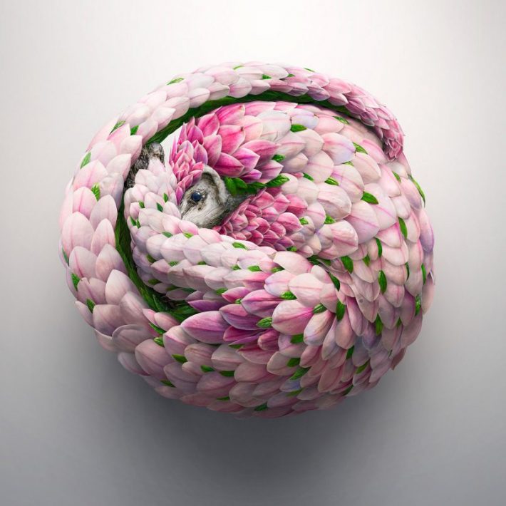 Amazing Photographic Illustrations