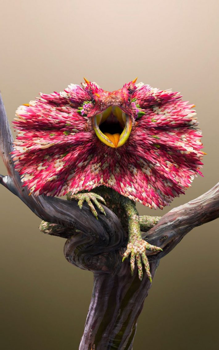 Amazing-Photographic-Illustrations 