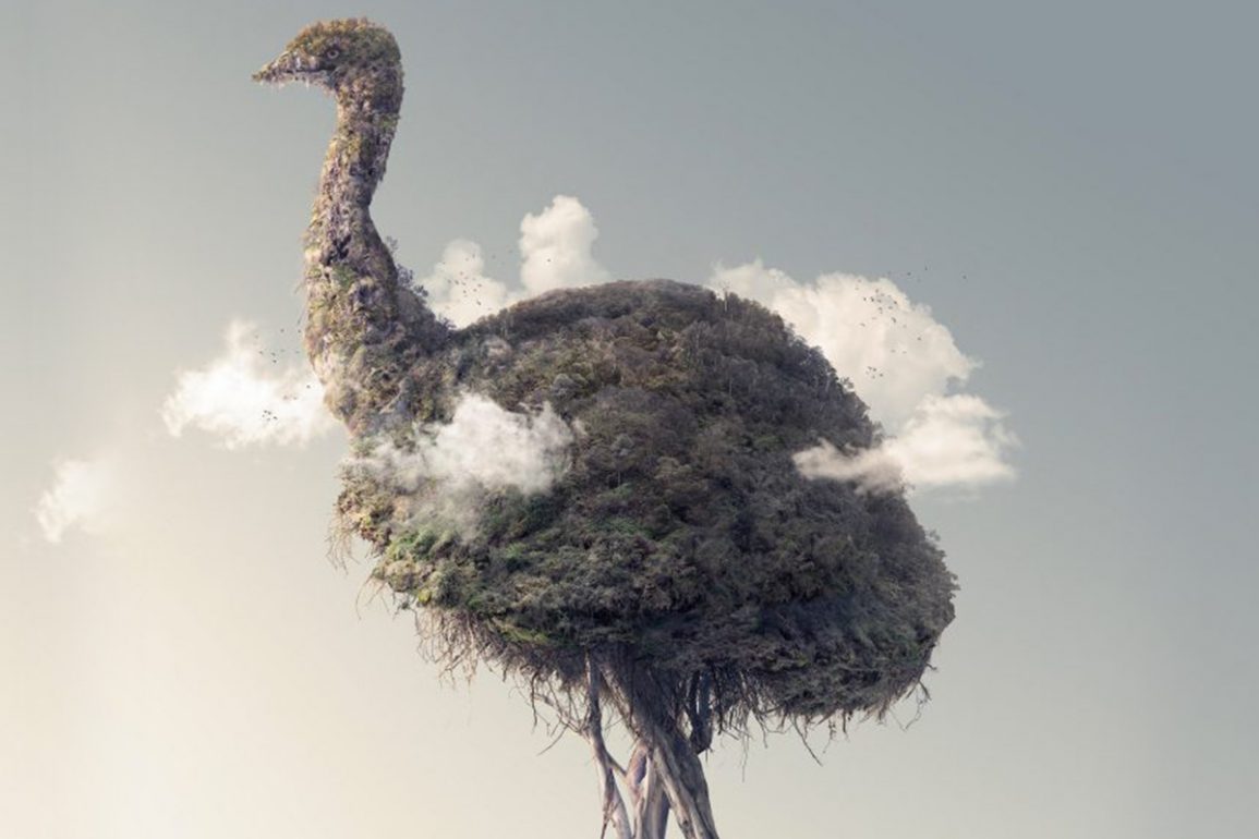 Amazing Photographic Illustrations