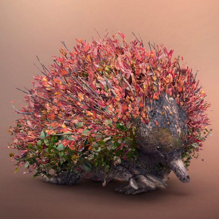 Amazing-Photographic-Illustrations 