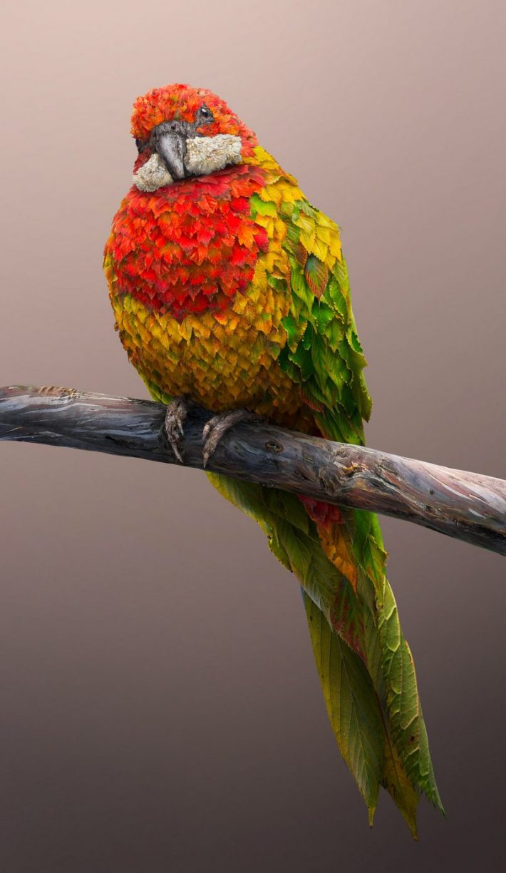 Amazing-Photographic-Illustrations 