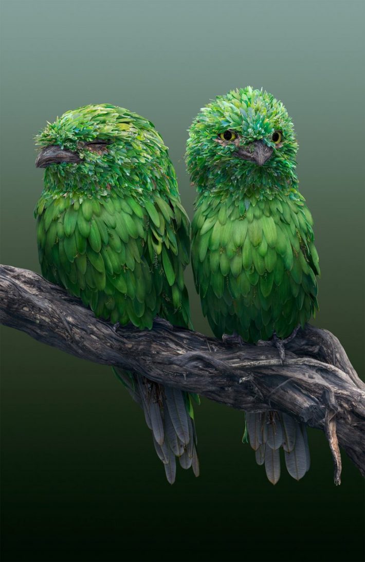 Amazing Photographic Illustrations